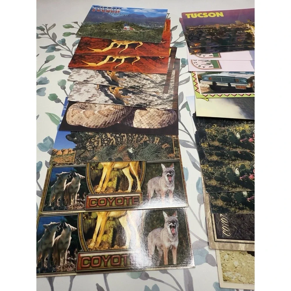 Vintage Arizona Postcards‎ Lot of 30 Tucson Desert Wildlife Scenic 80s 90s